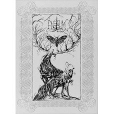 Enisum - Moth's Illusion Digipack A5 Enisum - Moth's Illusion Digipack A5