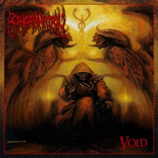 Reincarnation - Void