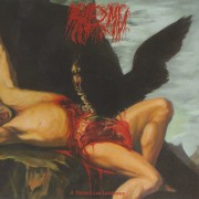 Shezmu - À Travers Les Lambeaux